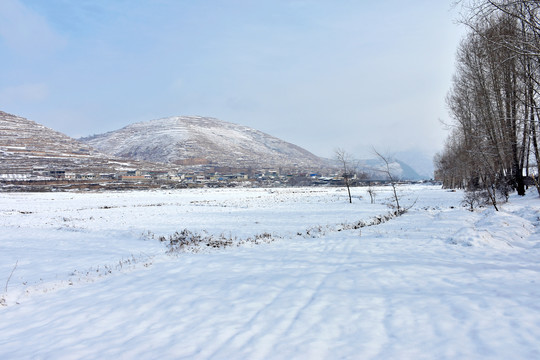 乡村雪霁