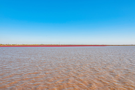 红海滩