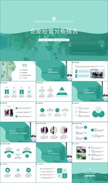 商务风企业经营分析报告PPT