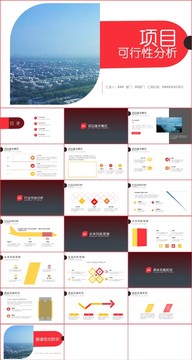 市场项目可行性分析报告PPT