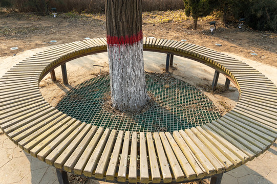 树池坐凳