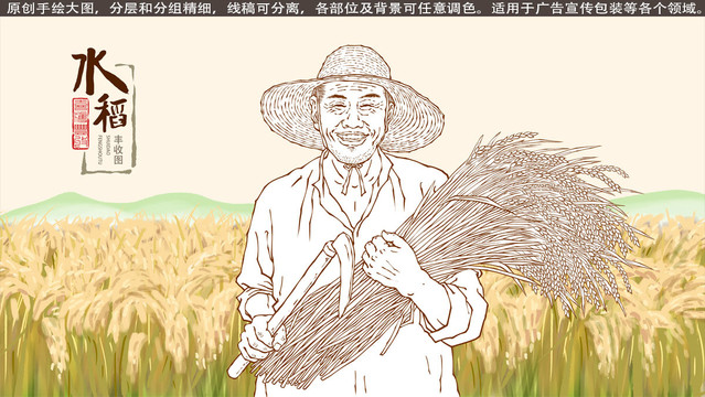 老农民水稻丰收线描图