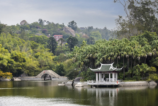 厦门植物园万石水库