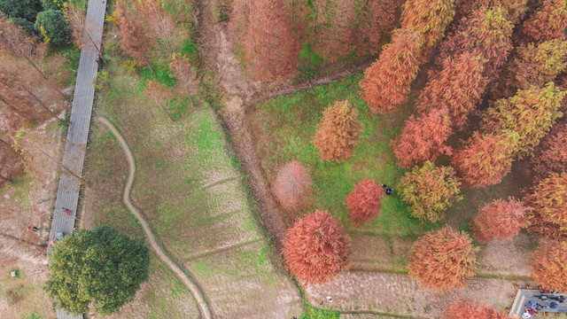 航拍青西郊野公园