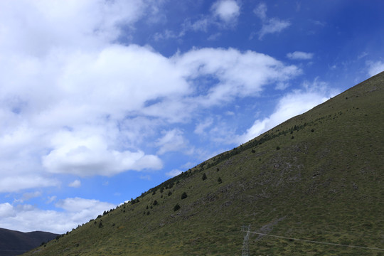 高山草坡