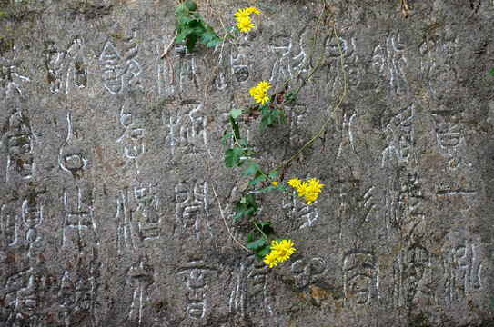 杭州西泠印社石刻