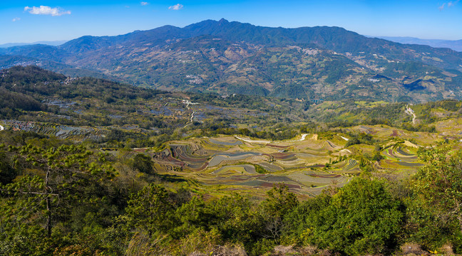 云南撒玛坝梯田风光