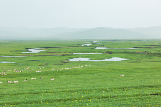 草原阴雨河流羊群蒙古包