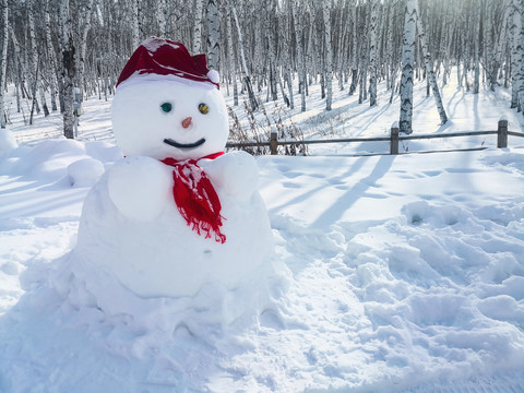 森林雪人雪娃娃