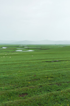 草原蒙古包羊群马群