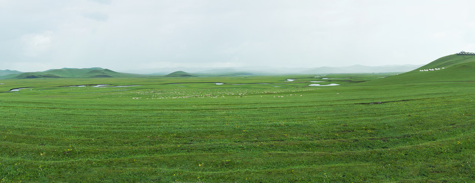 夏季草原羊群河流蒙古包