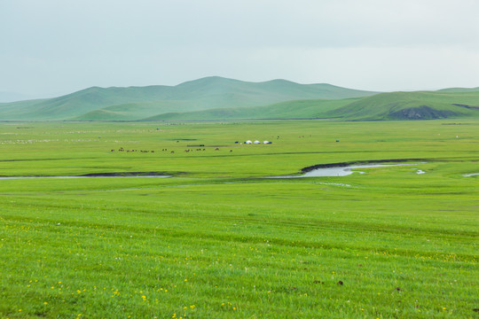 草原蒙古包马群羊群河流