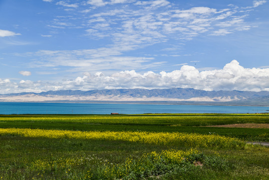 青海湖