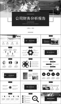 简约风公司财务分析报告PPT