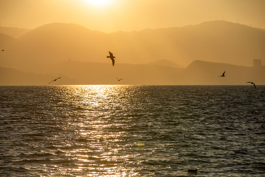 洱海风光