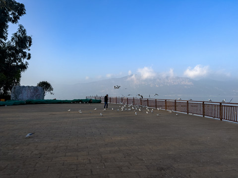 滇池风光