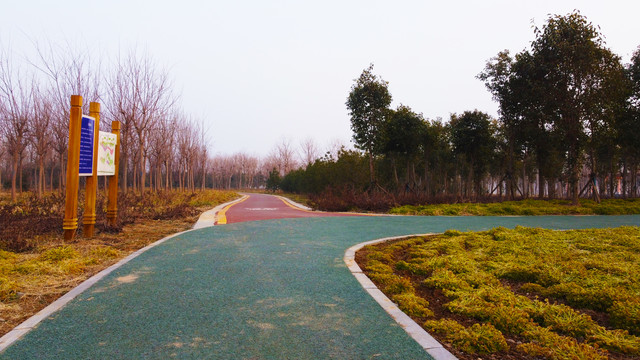 公园步道