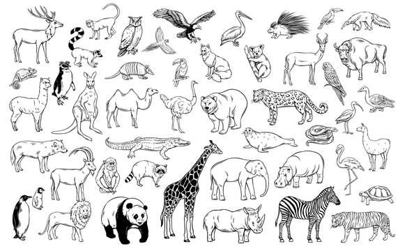 手绘各式动物插图