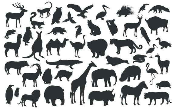 多种动物黑色剪影插图