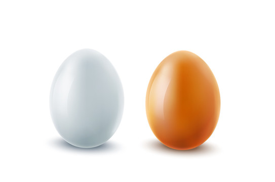 新鲜鸡蛋外观元素
