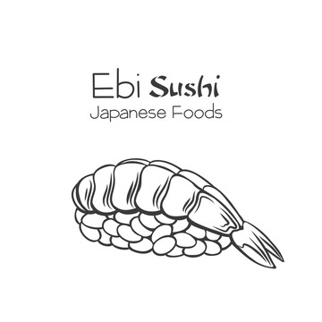 黑白手绘虾子握寿司插图