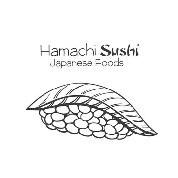 黑白手绘鰤鱼握寿司插图