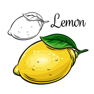 莱姆柠檬彩绘插图