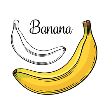 美味香蕉插图