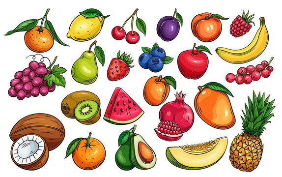 新鲜水果彩绘插图