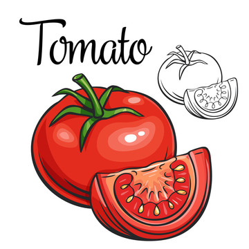 鲜红西红柿彩绘插图