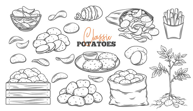 土豆洋芋片插图