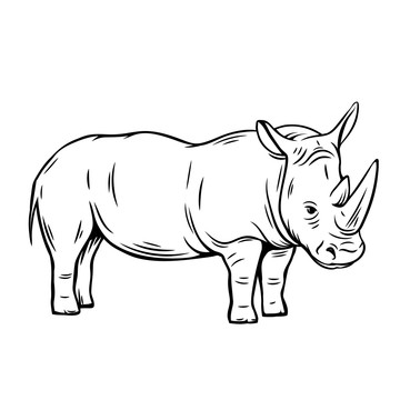 黑白手绘犀牛插图