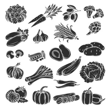 黑白手绘多样蔬菜插图