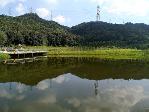 池塘水面倒影