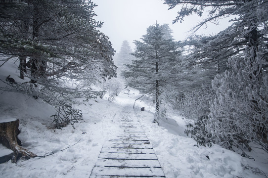 雪山