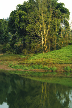 冬日小景