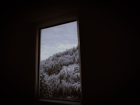 窗外的雪