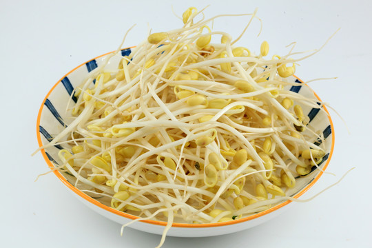 豆芽菜