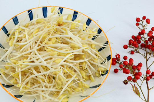 豆芽菜