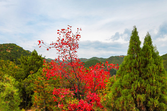 山西晋中石膏山