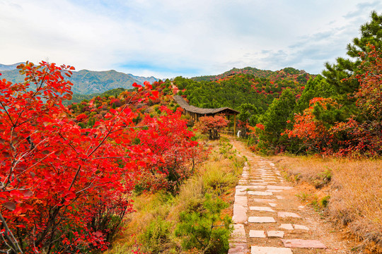 石膏山