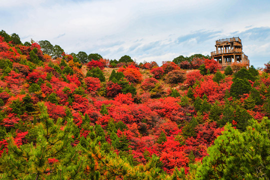 山西晋中石膏山