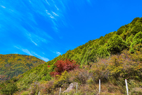 石膏山