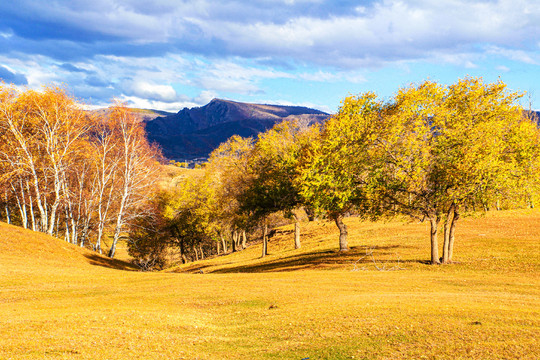内蒙古乌兰布统秋景风光壁纸