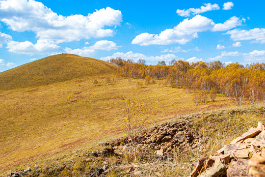 内蒙古乌兰布统秋景风光壁纸