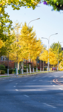 秋天的公路