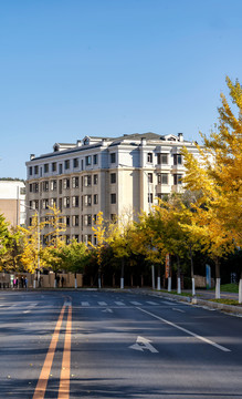 秋天的城市建筑