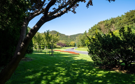 大连棒棰岛景区