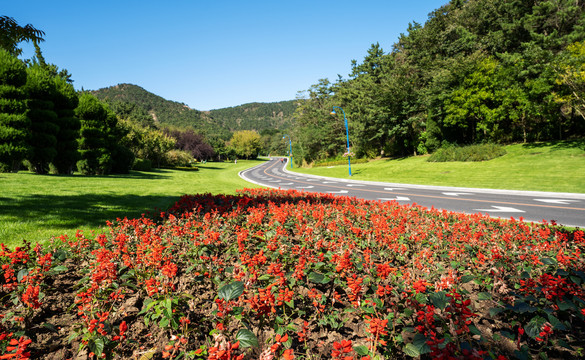 大连棒棰岛景区