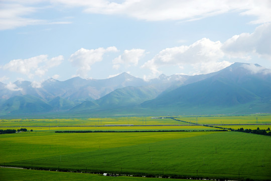 门源圆山观花台